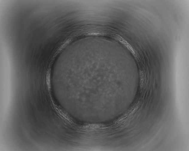 X0000116100482200911301106