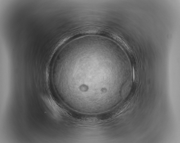 X0000116100483200911301106