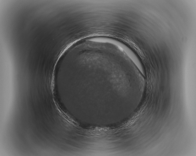 X0000116100484200911301106