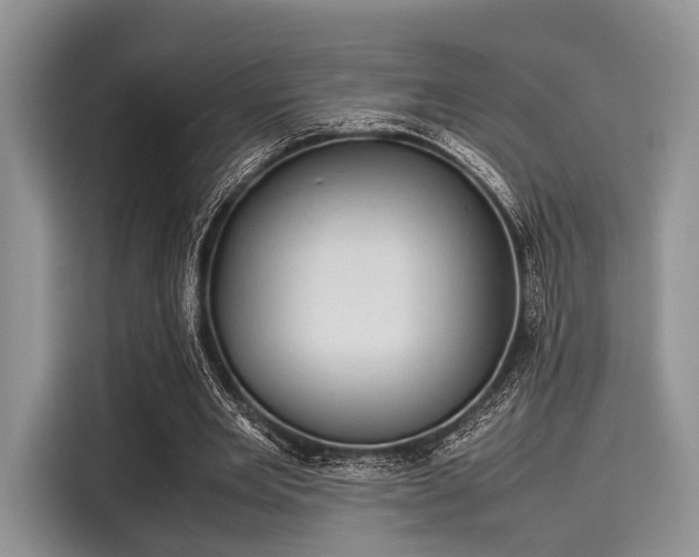 X0000116100485200911301106