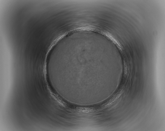 X0000116100486200911301106