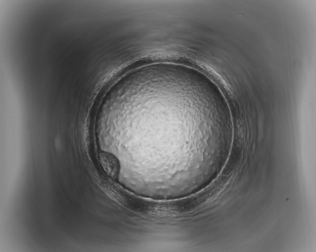 X0000116100487200911301106