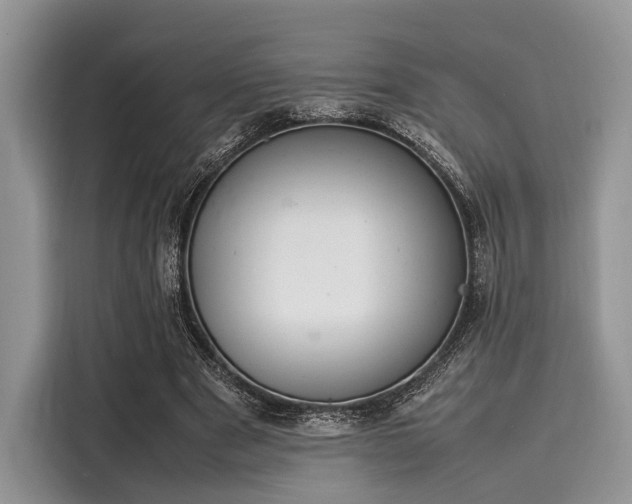 X0000116100489200911301106