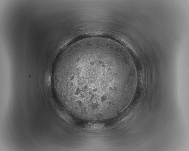 X0000116100491200911301105