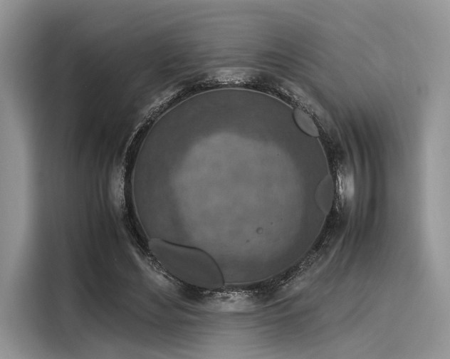 X0000116100492200911301105