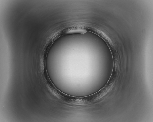 X0000116100493200911301105