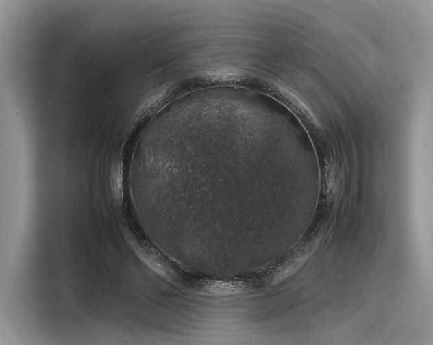 X0000116100494200911301105