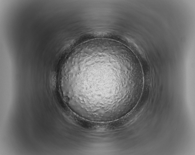 X0000116100495200911301105