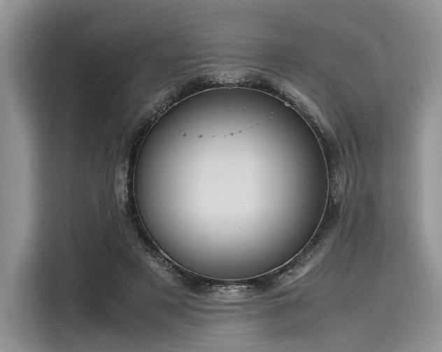 X0000116100497200911301105