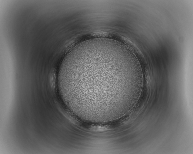 X0000116100498200911301105