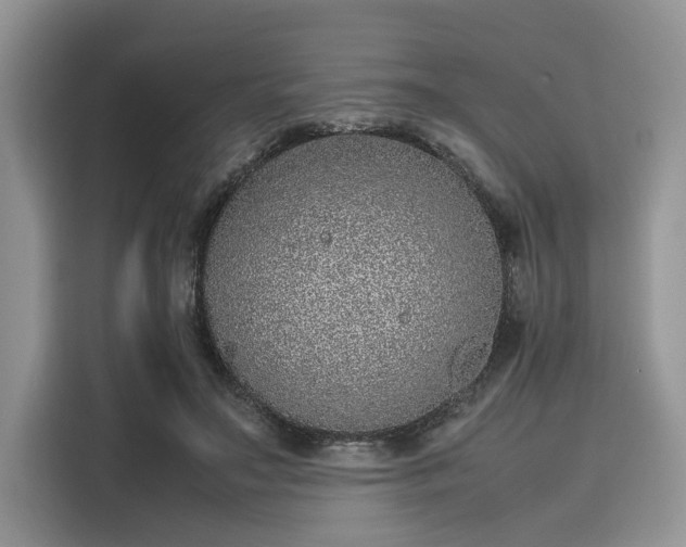 X0000116100499200911301105