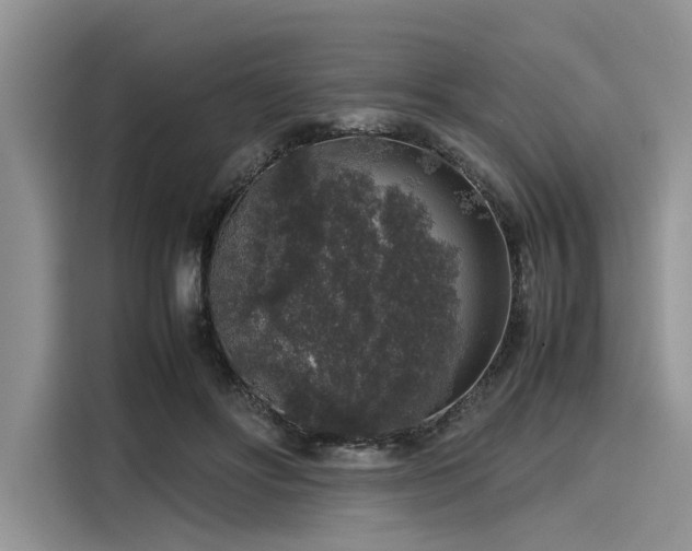 X0000116100502200911301105