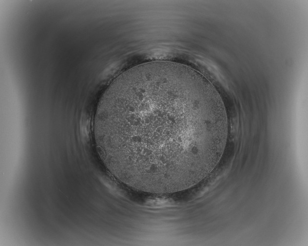 X0000116100503200911301105