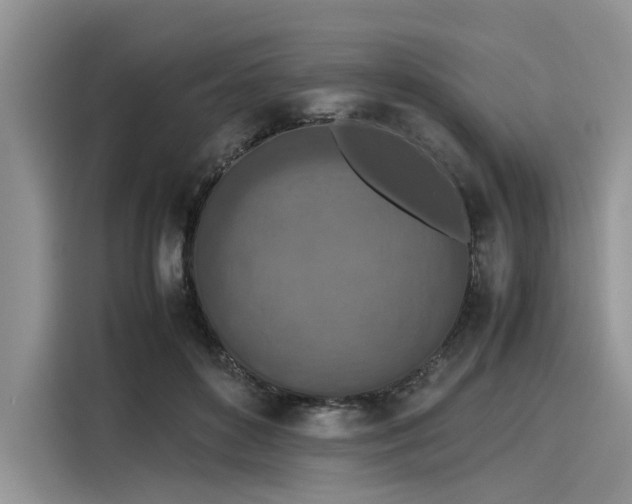 X0000116100504200911301105