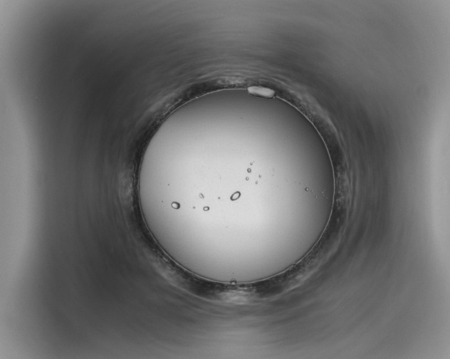 X0000116100505200911301105