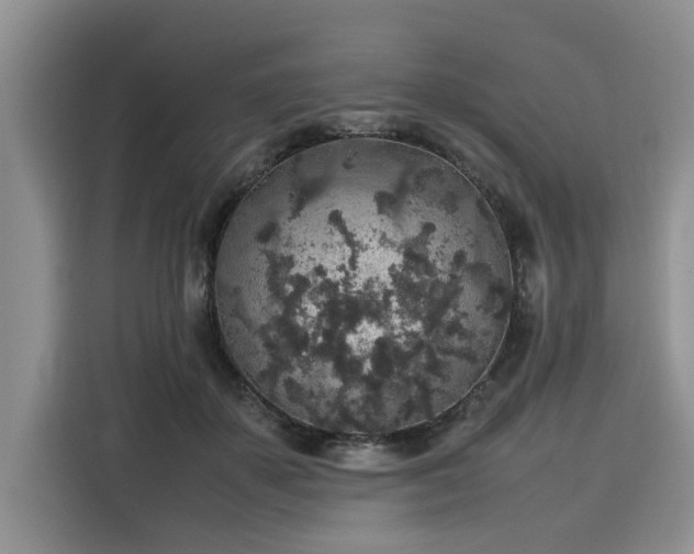 X0000116100507200911301105