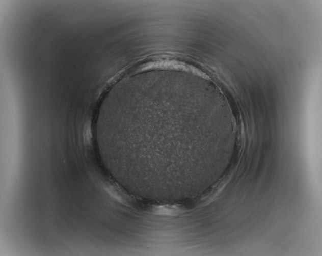 X0000116100508200911301105