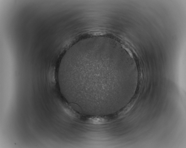 X0000116100512200911301105