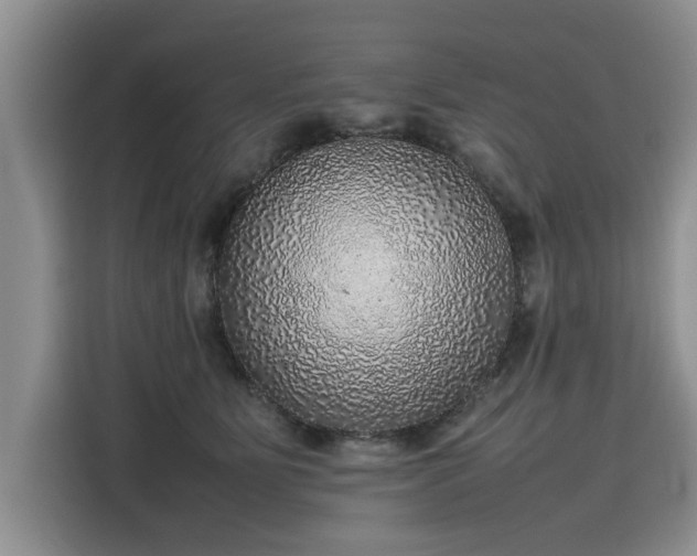 X0000116100515200911301105