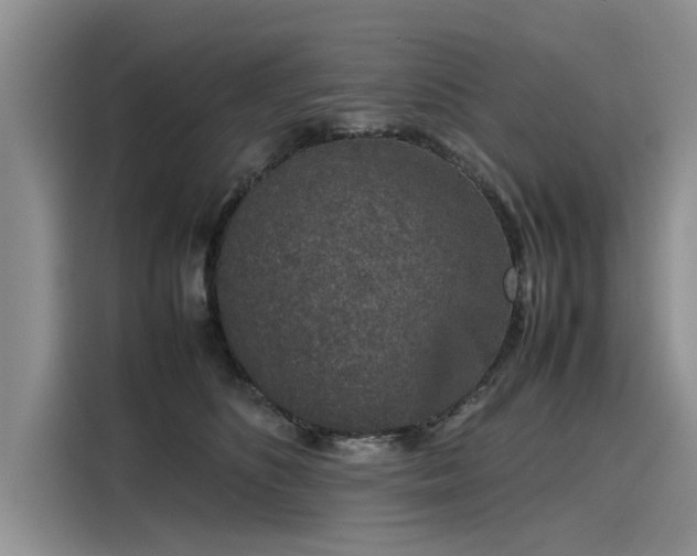 X0000116100516200911301105