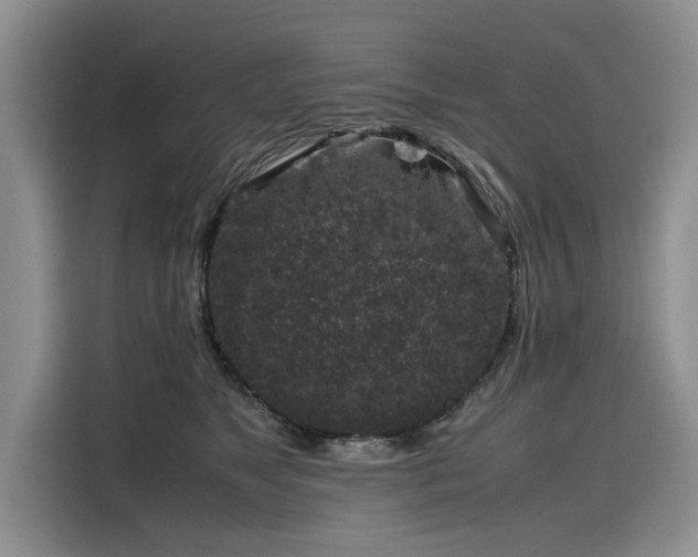 X0000116100517200911301105