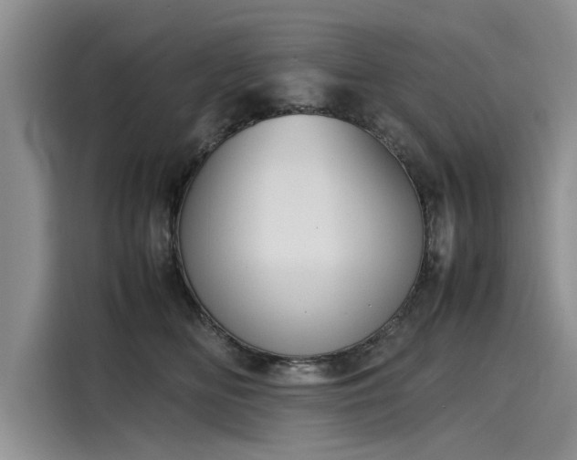 X0000116100518200911301105