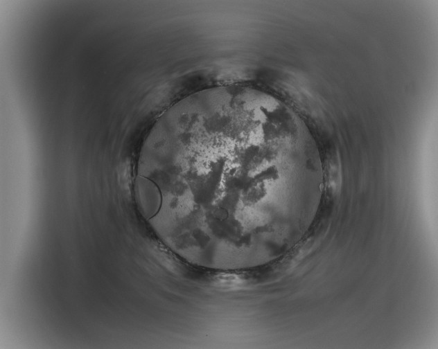 X0000116100519200911301105