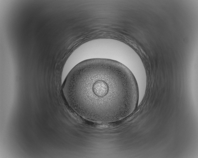 X0000116100521200911301105