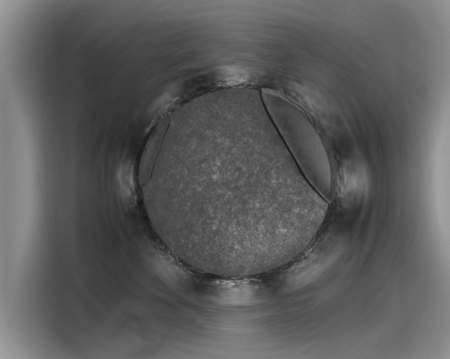 X0000116100524200911301105