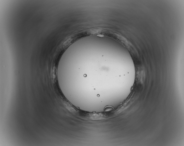 X0000116100525200911301105