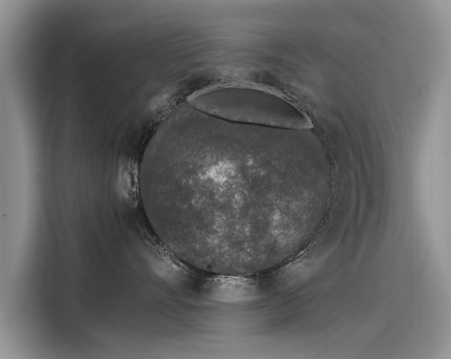 X0000116100528200911301105