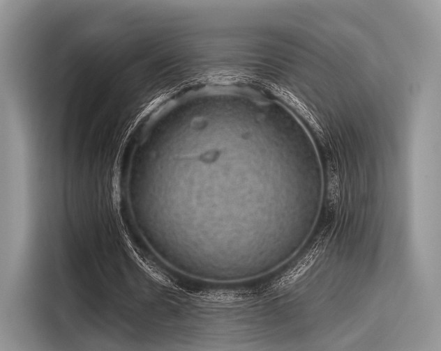 X0000116100530200911301104