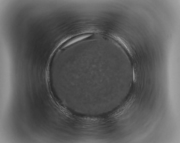 X0000116100531200911301104