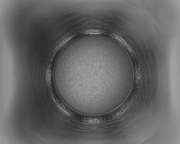 X0000116100533200911301104