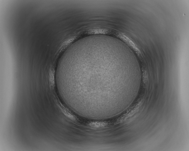 X0000116100537200911301104