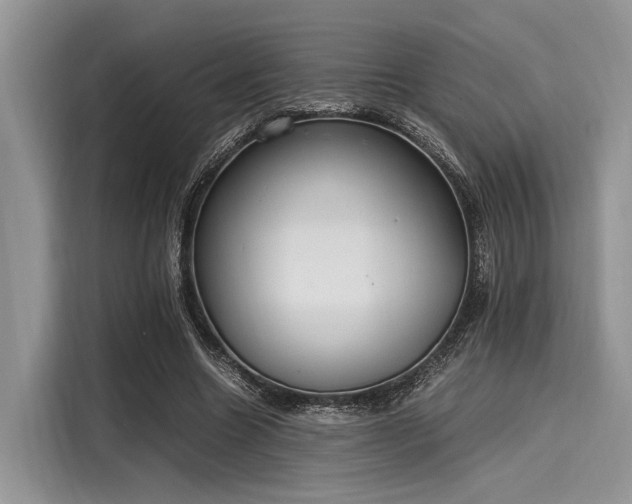 X0000116100538200911301105