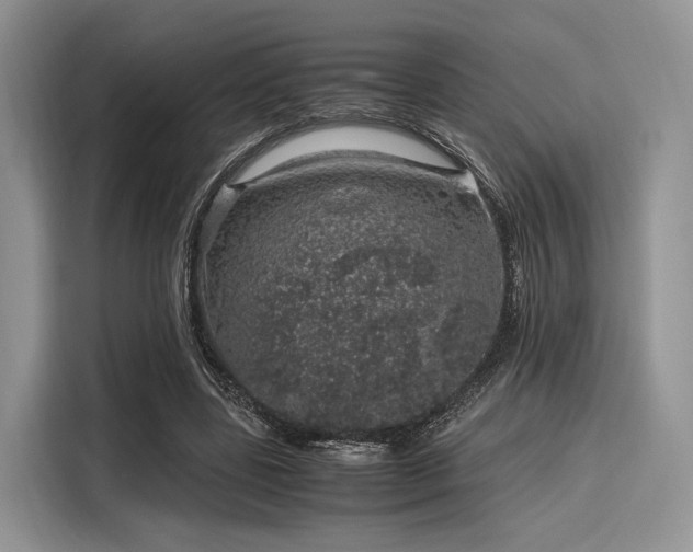 X0000116100539200911301105