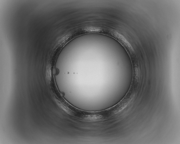 X0000116100541200911301105