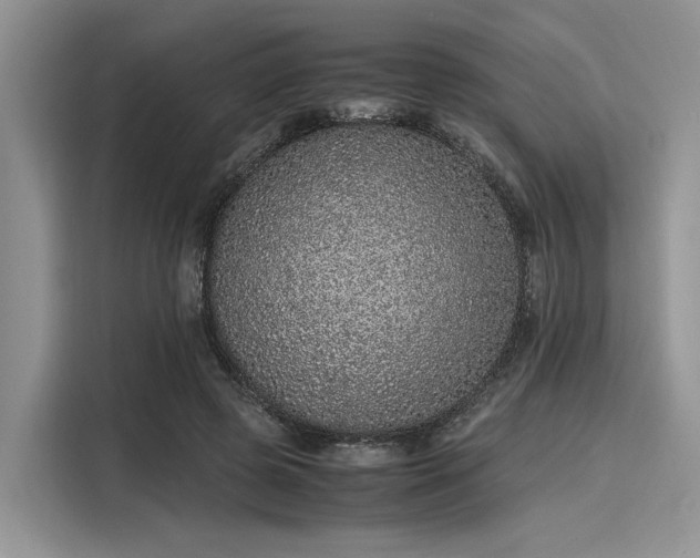 X0000116100545200911301105