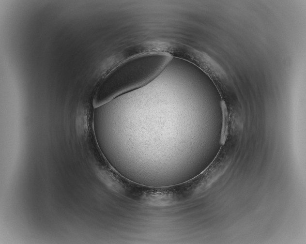 X0000116100546200911301105