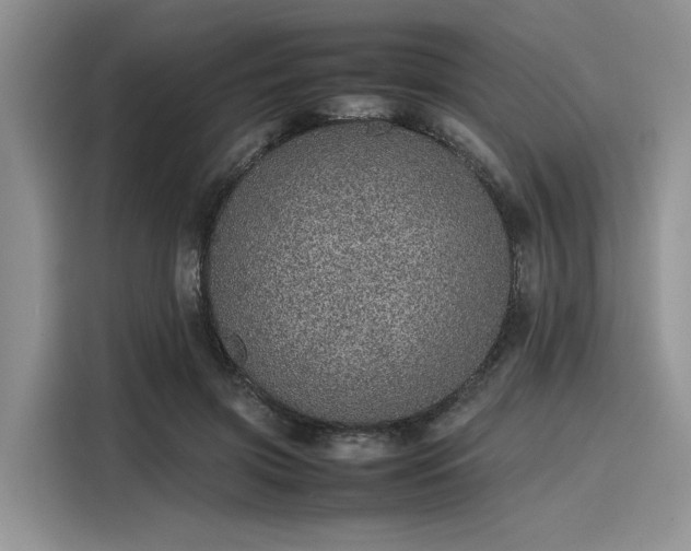 X0000116100549200911301105