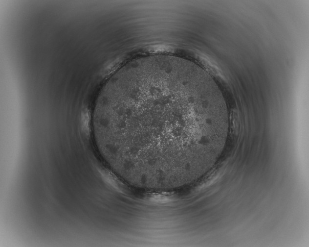 X0000116100550200911301105