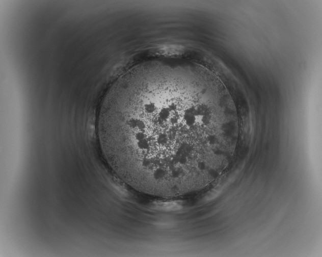 X0000116100553200911301105