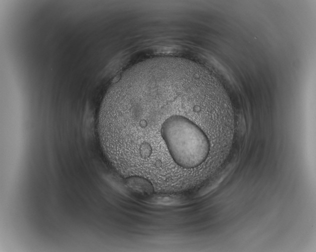 X0000116100557200911301105