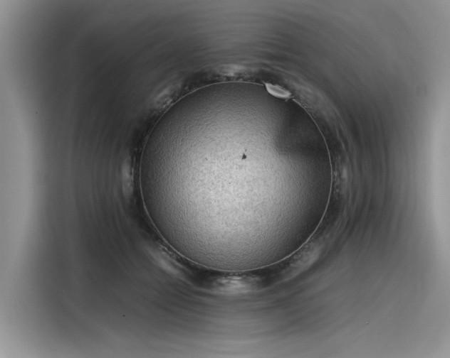 X0000116100558200911301105