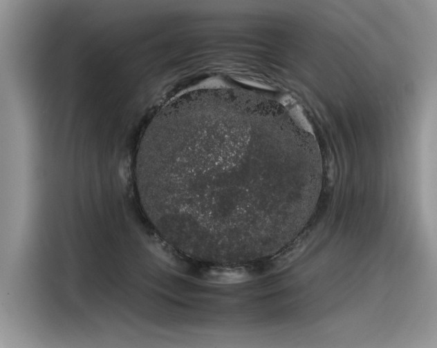 X0000116100559200911301105