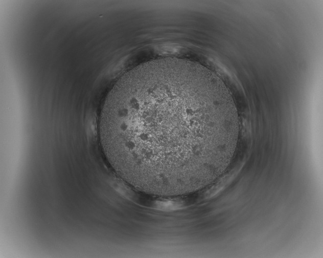 X0000116100561200911301105