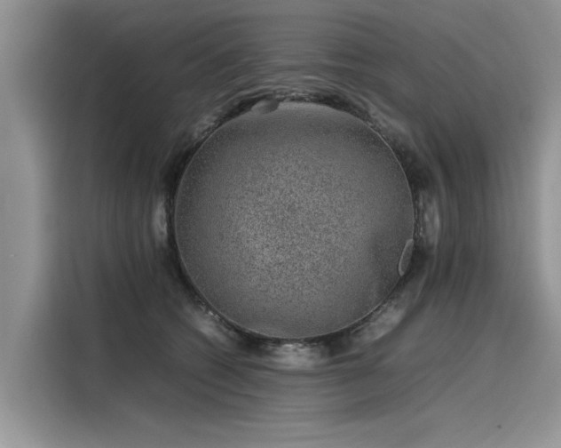 X0000116100562200911301105