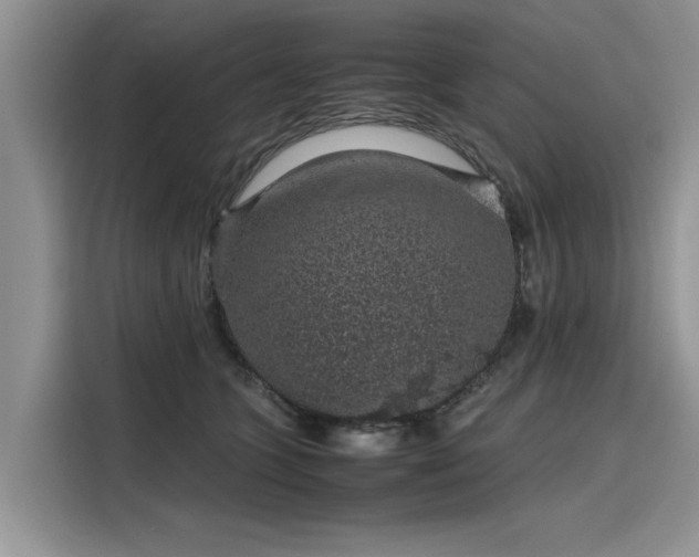 X0000116100563200911301105