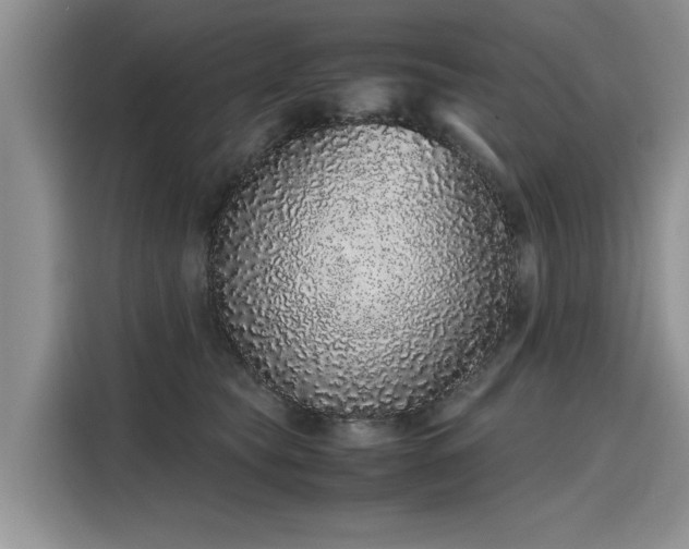 X0000116100565200911301105